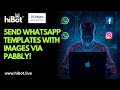 How To Send WhatsApp Templates Messages With Images Via Pabbly? | HiBot Tutorial