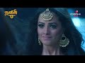 naagini s3 நாகினி s3 episode 16 meena heads to lord shiva மீனா சிவபெருமானை நோக்கி செல்கிறாள்