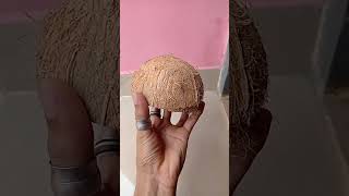 coconut shell craft || #shorts || #manikemove ||#youtubeshots || Diy
