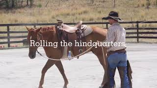 Bending / flexion exercises for cattle work and canter leads