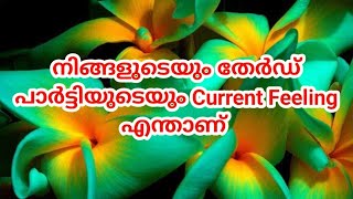 നിങ്ങളുടെയും തേർഡ് പാർട്ടിയുടെയും Current Feeling എന്താണ് 😳🥰 You Vs Third Party ⏳️ Timeless Reading