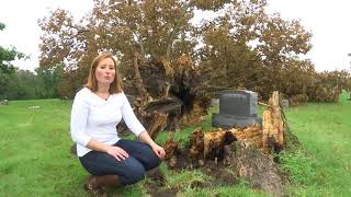 Devastation at Mt. Pleasant cemetery 'is heartbreaking,' historians say