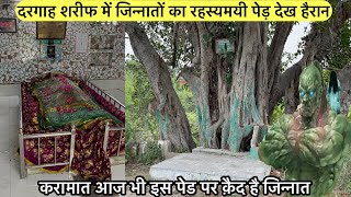 Jinnato ka Rahasyamayi ped dargah sharif me | जिन्नातों का रहस्यमयी पेड़ दरगाह शरीफ में | Jinnat