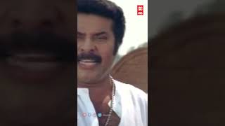 നീ എന്താടാ പട്ടി വിരട്ടുന്നോ ?  Prajapathi #reels #mammootty #movie #movie #movieclips #malayalam