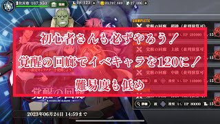 まおりゅう　初心者さんも必ずやろう！　難易度低め、覚醒の回廊。