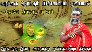 கழுத்தை நெறிக்கும் பிரச்சனையா துன்பமா செலவே இல்லாத பரிகாரம் இந்த இலை போதும் அனைத்து துன்பம் தீரும்