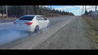 11gen Corolla Burnout