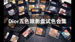 【海胆酱】这个视频价值9600元！我的16盘Dior五色眼影大盘点！｜Dior2020年高定系列好用吗？｜Dior眼影679、669、657、547等试色合集