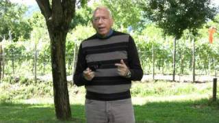 Why to prefer Venus instead of Jupiter in second and eighth House of Solar Return?
