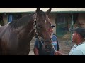 The Team Behind the Undefeated Racehorse Flightline