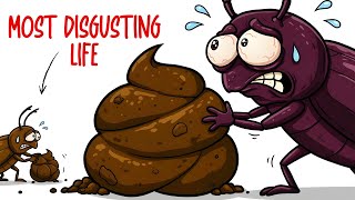 Why It Sucks to Be Born as a Dung Beetle