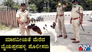 Baiyappanahalli Police Save A Calf \u0026 Are Taking Care Of It From Last 20 Days | Public TV