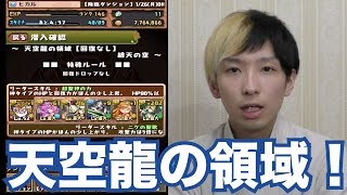 【パズドラ】天空龍の領域（回復なし）に挑戦！ど素人が全力で楽しむパズドラ実況！