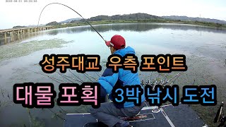 붕어낚시. 성주대교 #핫한포인트 #대물붕어 포획작전 3일 . 낙동강 포인트(Korean carp fishing)