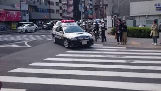 警視庁板橋署 パトカーと覆面パトカーキザシ 川越街道を緊急走行