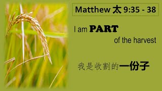 16 Feb 2025 | I Am Part Of The Harvest - 我是收割的一份子 - Rev Daniel Yaw 丘其威牧师