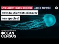 How do scientists discover new species?