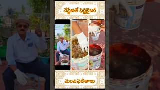 వేస్టేజ్ తో ఫెర్టిలైజర్  wastage  fertilizer#organicterracegarden #organicgardening #gardening