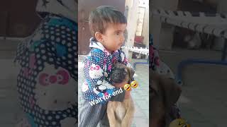 ਮੇਰੇ ਹਲਾਤ ਐਸੇ ਹੈ ਕਿ ਮੈ ਕੁੱਝ ਕਰ ਨਹੀ ਸਕਦਾ 🤪🤪🐕🐕#shortvideo #trending