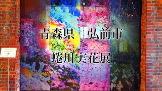 魅了されるアート　蜷川実花展