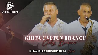 Ghita Caltun Brancu ❌ Colaj Brauri LIVE 🎷 Ruga de la Chisoda