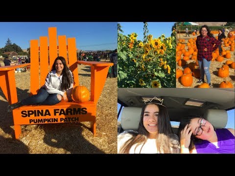 Vlog Pumpkin Patch Adventures Youtube
