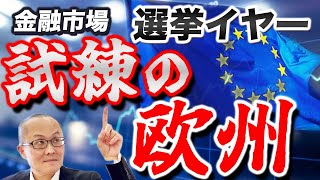 【2024年6月28日】金融市場  選挙イヤー  試練の欧州　週末はフランスの総選挙ですが流石にアジアの島国日本にはあまり詳細な報道はありません　整理して来週の週明けに備えます