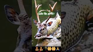 সৃষ্টির আজব রহস্য part 3 #animal #giantfish #shorts #viral #aimwbexam