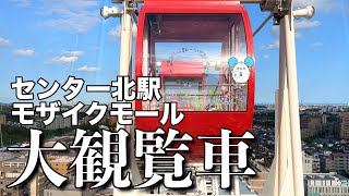 【大パノラマ】センター北モザイクモール港北観覧車からの景色【不動産屋さんの街紹介】