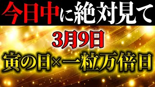 【超重要】”寅の日×一粒万倍日”の過ごし方が”春分の日”に超大事！絶対コレだけはやってください！【3月9日 金運】