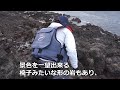 【春のロックショア・ヒラマサ釣行】島根県隠岐の島