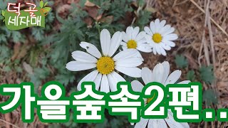 덕골세자매)가을 숲속에서 만난 아이들.......... #덕골세자매