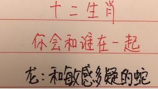 十二生肖-你会和哪一种属相在一起#中國傳統文化 #中國書法 #傳統文化 #老人 #中国传统文化 #中国书法 #書寫 #硬筆書法 #手写 #练字 #生肖