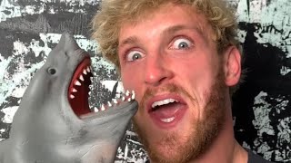 Shark Puppet Face Reveal