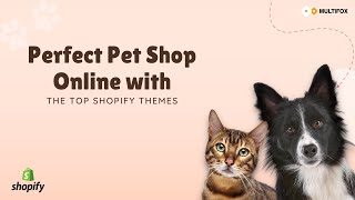 Create the Perfect Pet Shop Online with the Top Shopify Themes