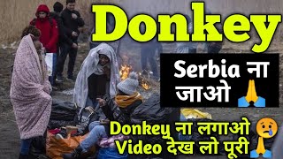 Serbia Donkey Video || Serbia Donkey Latest Video || Serbia To Portugal Donkey