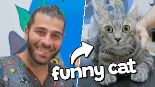 Cat Runs Away From Home! ( How Did He Return Home By Himself!? )