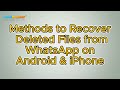 How to Recover Deleted Files from WhatsApp on Android & iPhone? [Solved]