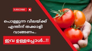 പൊള്ളുന്ന വിലയ്ക്ക് എന്തിന് തക്കാളി വാങ്ങണം ഇവ ഉള്ളപ്പോൾ | Alternatives for Tomato | Butterfly Media