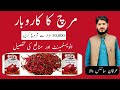 03096141114 | How to start Red Chilli business /best business/Red chilli kay qarobar karna ka tarika