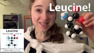 Leucine biochemistry \u0026 why it's \