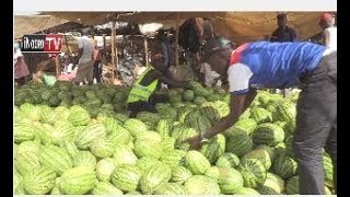 Endia a watermelon gukaya unyihu wa melon, Kagio