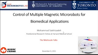 The MultiScale Talk #8 - Mohammad Salehizadeh - Control of Multiple Magnetic Microrobots