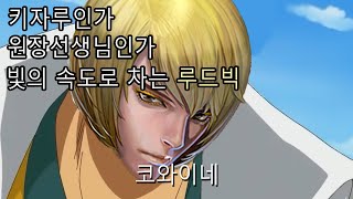 [사이퍼즈] 빛의 속도로 차지만 키자루도 원장선생님도 아니다! 빛의 속도로 차는 루드빅!