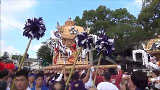 浜の宮天満宮本宮　宮入前練り歩き（平成２９年１０月９日）