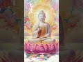 迷时师度，悟时自度！ 佛教 buddha meditationmusic