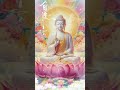 迷时师度，悟时自度！ 佛教 buddha meditationmusic