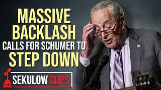 Massive Backlash Calls For Schumer To Step Down