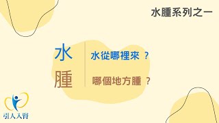 【水腫系列一】水從哪裡來？哪個地方腫？