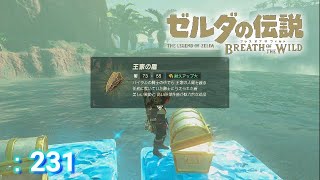 ゼルダの伝説 冒険記＃231 王家の盾を集めてみました【ゼルダの伝説 ブレスオブザワイルド】